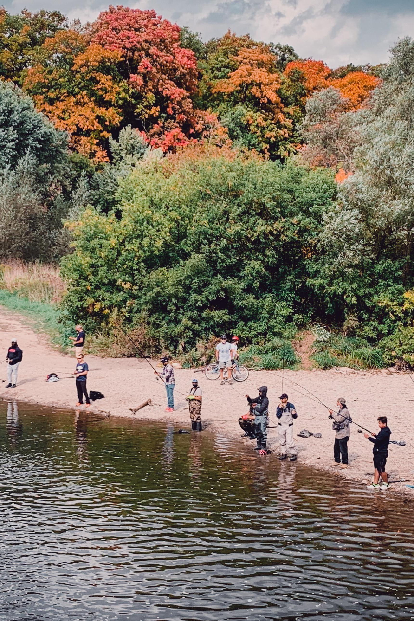 Erindale Park